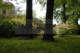 tannenfeld-sommer 2012-027